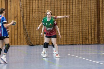 Bild 126 - F HSG Kremperheide/Muensterdorf - HSG Holstein Kiel/Kronshagen : Ergebnis: 31:26